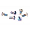 Torx Disc Steel Rainbow Bolt Kit (6 pcs.)