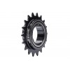 Piñón Jitsie Race 135.9 Cassette