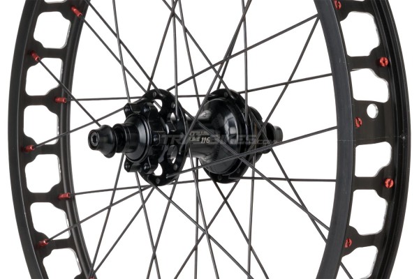 Rueda trasera Hashtagg 19" + Buje libre Chorrillas RR-116 Disco